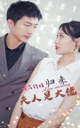 一夜錯嫁，歸來夫人是大佬(全集)