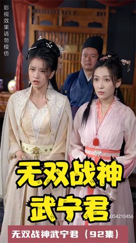 無雙戰神武寧君(全集)