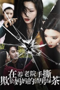 在養老院手撕欺負媽媽的渣男綠茶(全集)