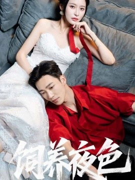 飼養夜色(全集)