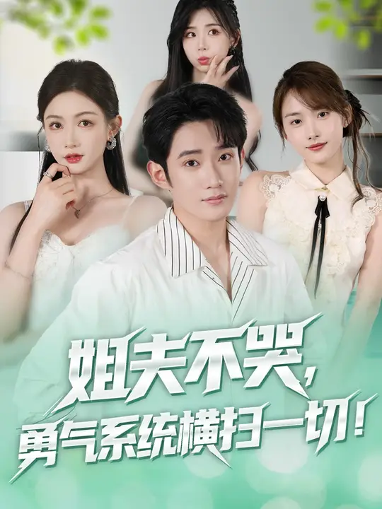 姐夫不哭勇氣系統橫掃一切(全集)