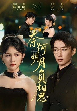 奈何明月負相思(全集)