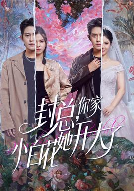 封總，你家小白花她開大了(全集)