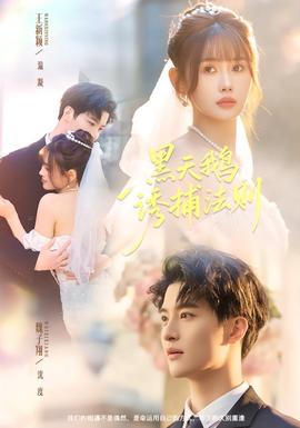 黑天鵝誘捕法冊(全集)