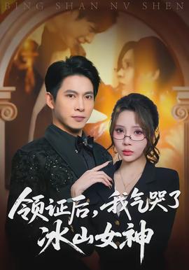 領證后，我氣哭了冰山女神(全集)