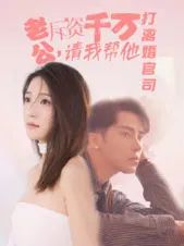 老公拆資千萬請我幫他打離婚官司(全集)